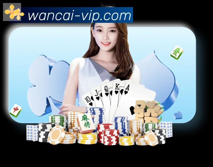 万彩官网发展历程
